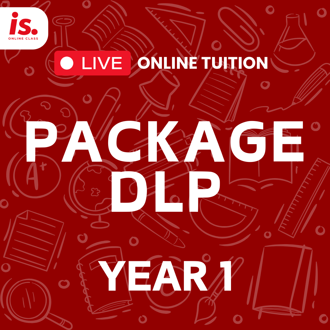 PACKAGE – YEAR 1 DLP-2024